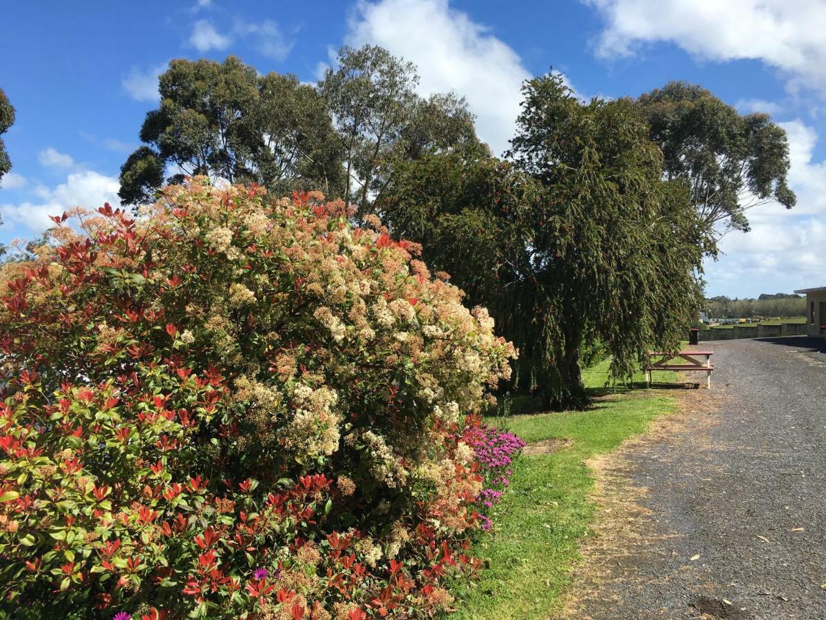 Limestone Coast Tourist Park Mount Gambier Exterior foto